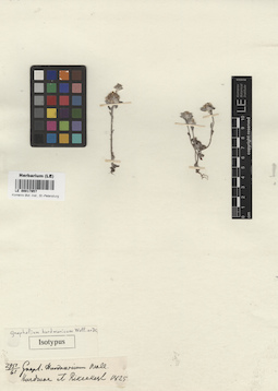 LE 00017957