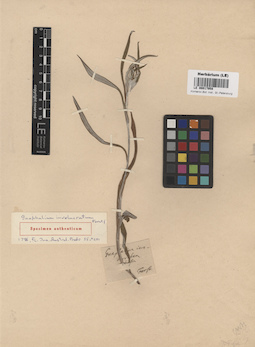 LE 00017958