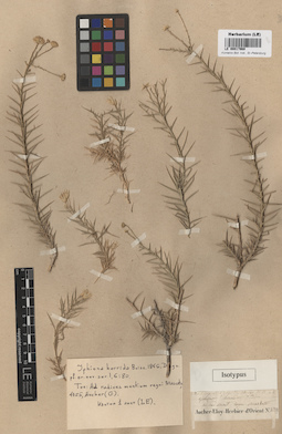 LE 00017969