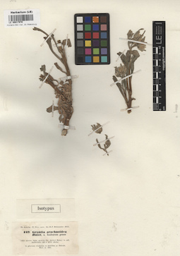 LE 00017970
