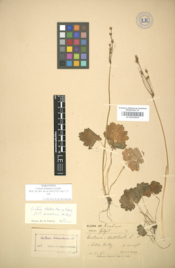 LE 01010024