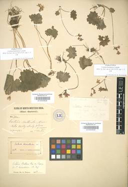LE 01010026