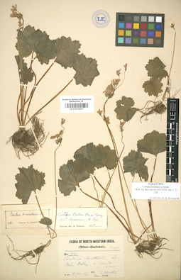LE 01010027