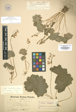LE 01010028