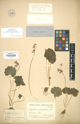 LE 01010030