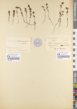 LE 01086299