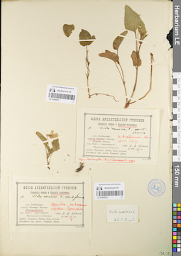 LE 01095574