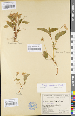 LE 01095794