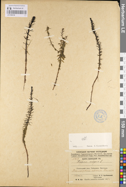 LE 01096158