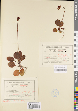 LE 01096796