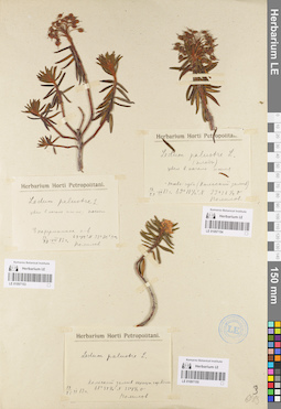 LE 01097155