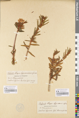 LE 01097159