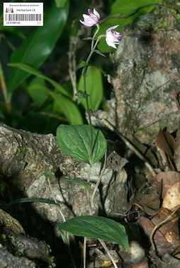 LE 01089109