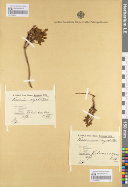 LE 01098202