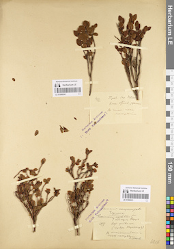 LE 01098240