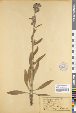 LE 01099368
