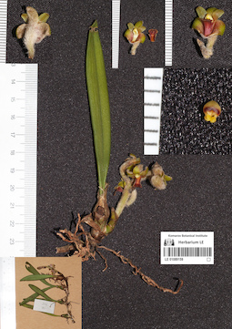 LE 01089159