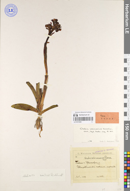 LE 01072090