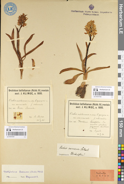 LE 01072101