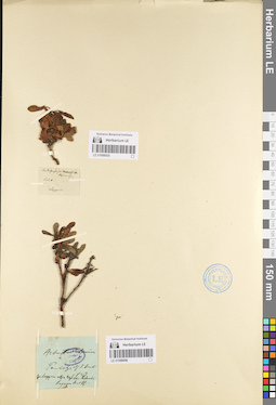 LE 01098056
