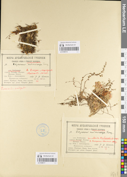 LE 01098117