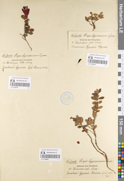LE 01098459