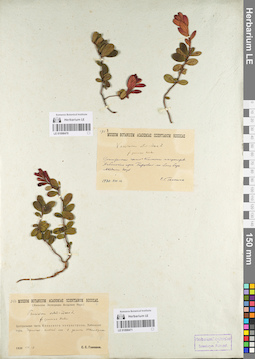 LE 01098470