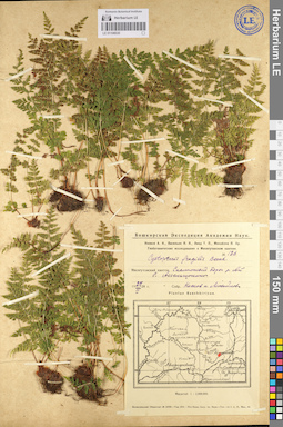 LE 01106530
