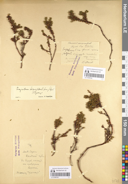 LE 01095163