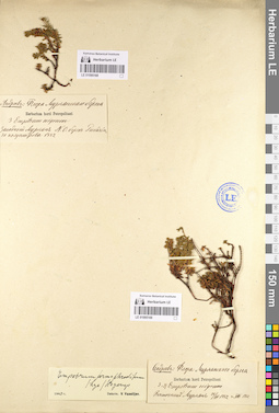 LE 01095168