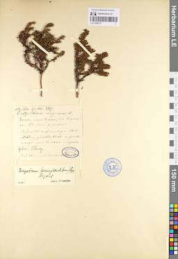 LE 01095172