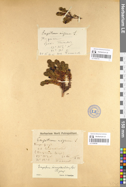 LE 01095179