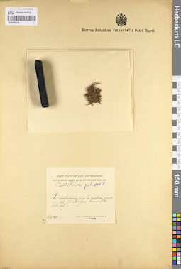 LE 01095318