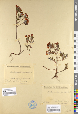 LE 01097642