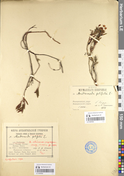 LE 01097653