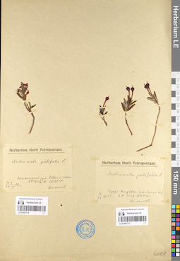 LE 01097717
