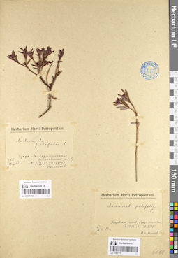 LE 01097718