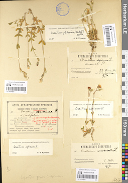 LE 01104941