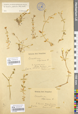 LE 01104952