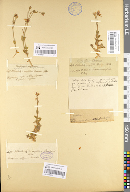 LE 01105021
