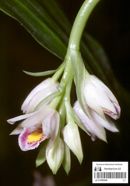 LE 01089468