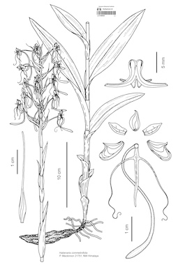 LE 01089539