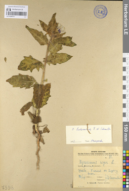 LE 01099770