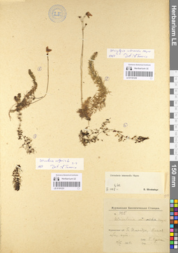 LE 01101231