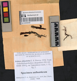 LE A0000049