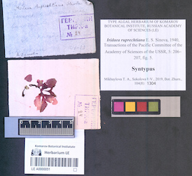 LE A0000051