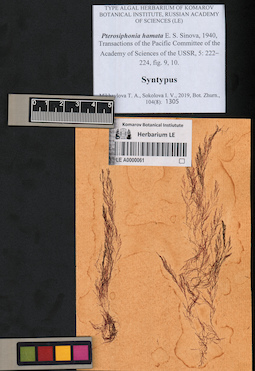 LE A0000061