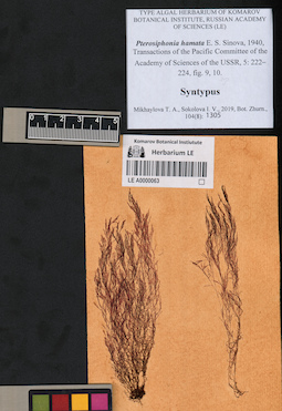 LE A0000063