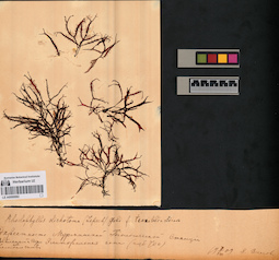 LE A0000082