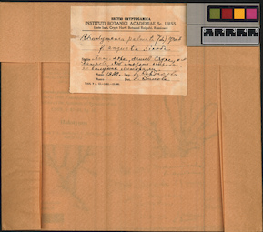 LE A0000083